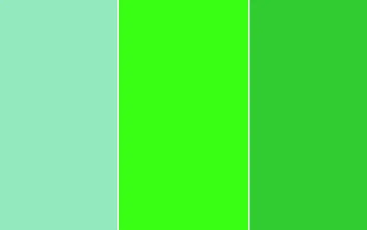 Cinque bande verticali di colori: verde chiaro, menta, verde lime brillante, verde erba e beige. Il verde e giallo che colore esce è vibrante.