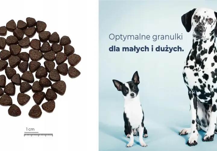 Granulki karmy z jelenia dla psa, idealne dla małych i dużych pupili.