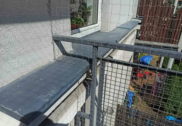 Siatka zabezpieczająca na balkonie. Dowiedz się, ile kosztuje montaż siatki na balkonie, by zapewnić bezpieczeństwo pupilom.
