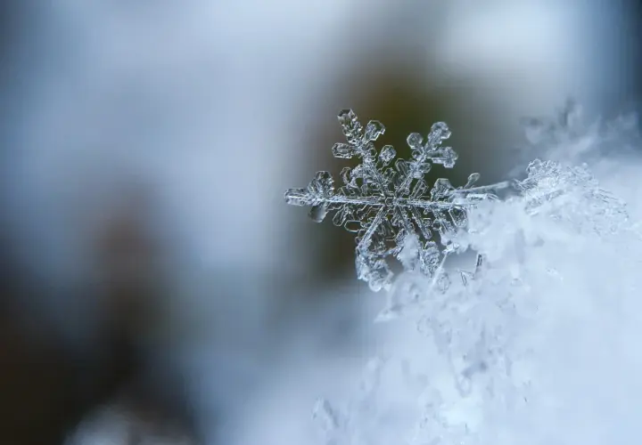 Un fiocco di neve, un capolavoro di cristallo, posa su un letto di neve soffice. Le sue delicate ramificazioni raccontano storie di freddo e magia, parole invernali che danzano nel silenzio.