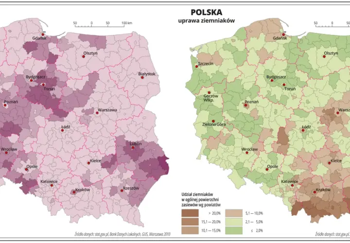 Mapy Polski pokazujące rozmieszczenie upraw buraków cukrowych i ziemniaków według powiatów.