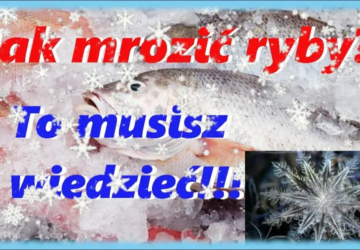 Jak długo mrozić ryby? Ekspert radzi, by smakowały jak świeże