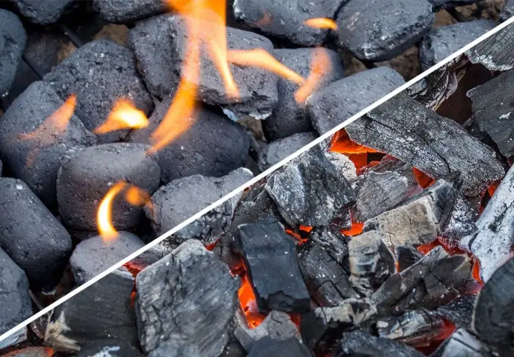 Comparaison visuelle : le charbon de bois, irrégulier et incandescent, face au charbon compact et en flammes.