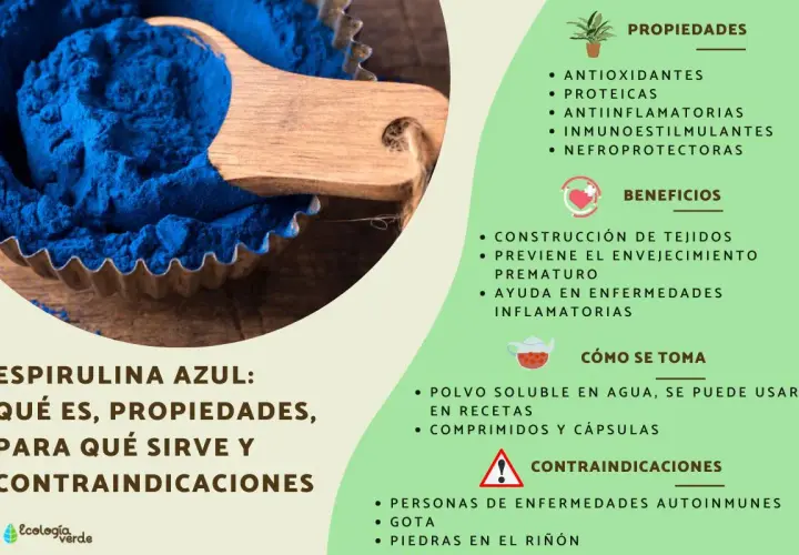 Espirulina azul: sus propiedades, para qué sirve y contraindicaciones. Ayuda a la construcción de tejidos y previene el envejecimiento.