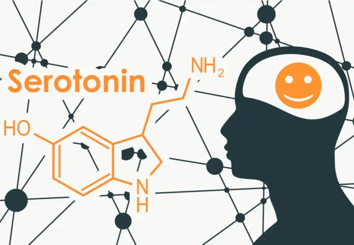 La serotonina, l'ormone della felicità, rappresentata con la sua formula chimica e un cervello sorridente.
