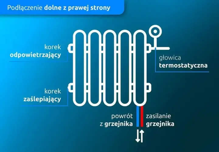 Schemat podłączenia grzejnika od dołu z prawej strony. Widoczny korek odpowietrzający, zaślepiający, głowica termostatyczna, zasilanie i powrót.