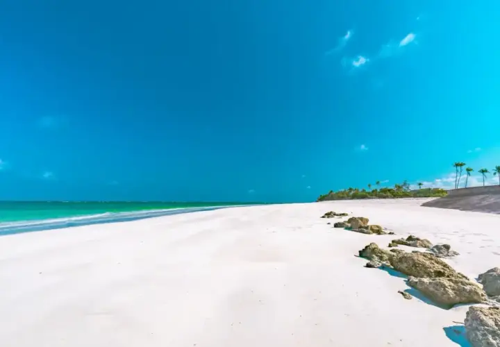 Piękna plaża w Kenii, idealna na wakacje. Kiedy jechać? Najlepiej w porze suchej, od czerwca do października, lub od stycznia do marca.