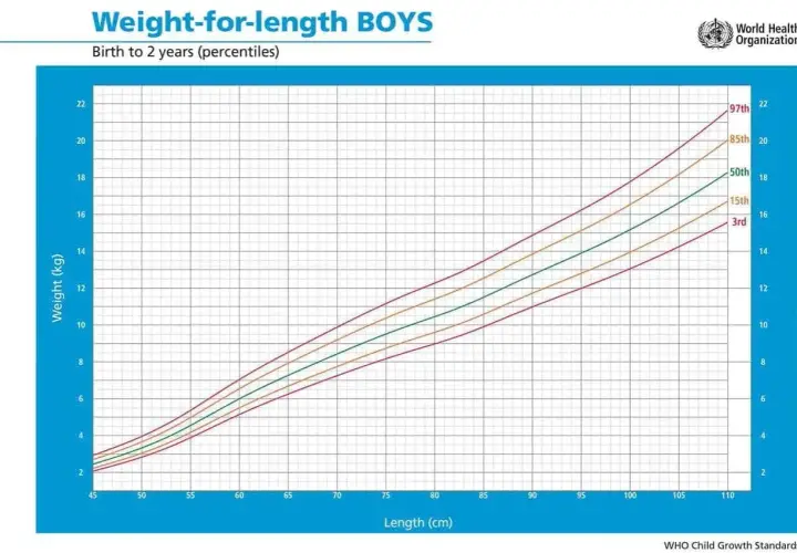 Grafico OMS: tabelle percentili peso/lunghezza per neonati maschi da 0 a 2 anni. Mostra curve di crescita per diverse percentili.
