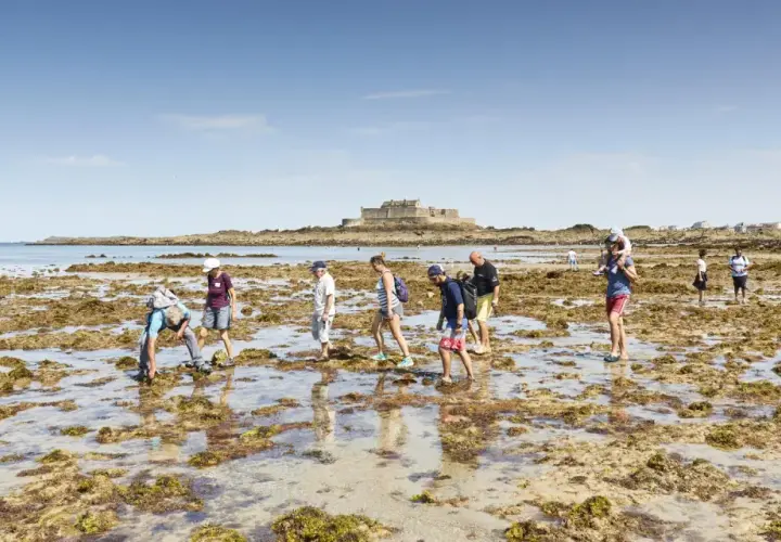 Menschen erkunden bei Ebbe die felsige Küste von Saint-Malo. Im Hintergrund thront die Festung auf ihrer Insel.