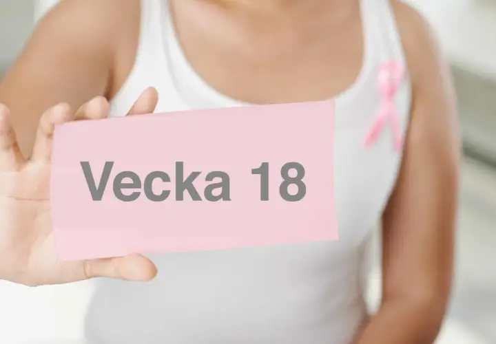 En person håller upp en rosa lapp med texten "Vecka 18". En rosa band pryder personens vita linne.