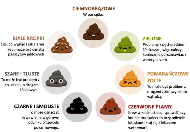 Jak rozpoznać różne rodzaje kupy u psa: Co oznacza jasna i ciemna kupa