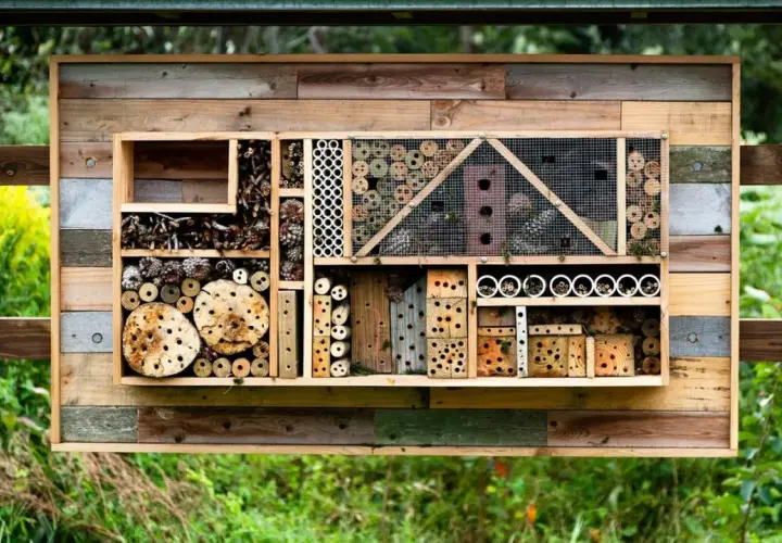 Ein liebevoll gestaltetes Insektenhotel, das zum **insektenhotel selber bauen** inspiriert. Es bietet Unterschlupf für verschiedene Nützlinge mit Holz, Röhren und Zapfen.