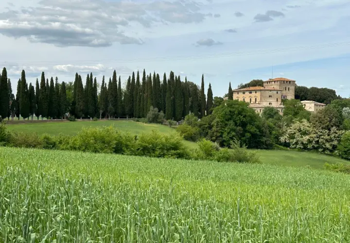 Campi verdi e un casale toscano sullo sfondo, un paesaggio tipico della chianti route sr222.
