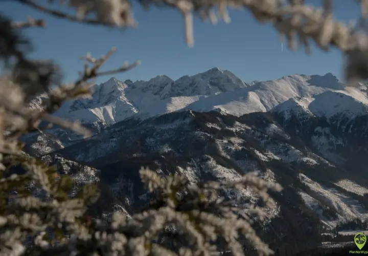 Zimowy widok na Tatry z zamglonymi gałązkami. Trasa na Rusinową Polanę w śnieżnej scenerii.