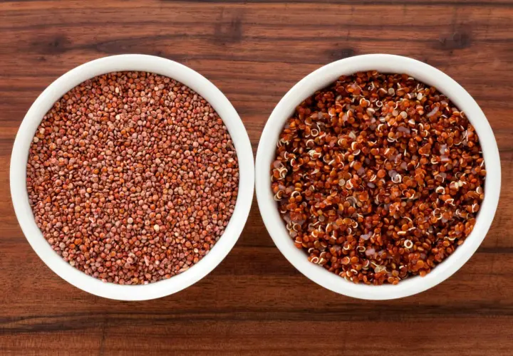 Två skålar med quinoa, en med råa röda frön och en med kokt, som visar dess höga quinoa protein.