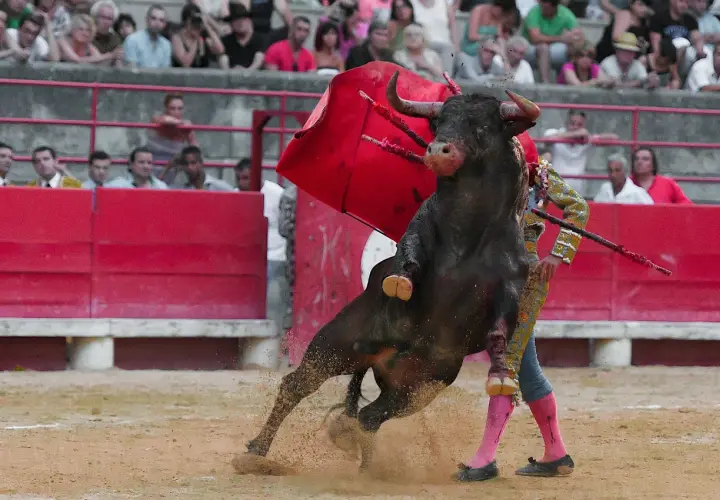 Un toro bravo embiste a un torero español en la arena, con el público observando.