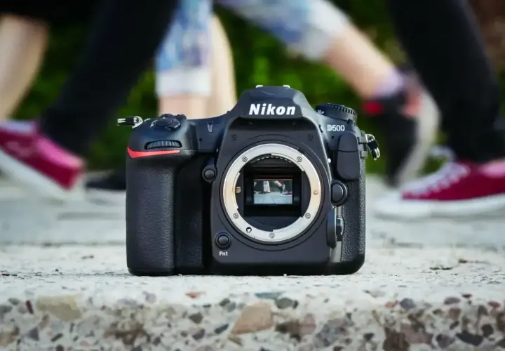 Nikon D500 na kamieniu, z rozmazanymi nogami w tle. Chcesz wiedzieć, jak sprawdzić przebieg aparatu Nikon?