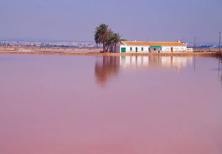 Casa blanca junto a palmeras sobre el agua rosa de la playa rosa Murcia.
