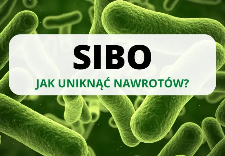 Leczenie SIBO: Antybiotyki, zioła i klucz do trwałych efektów