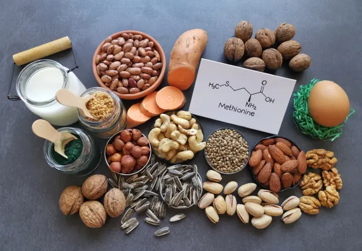 Fonti di metionina: fagioli, patate dolci, noci, mandorle, pistacchi, semi di girasole, anacardi, nocciole, latte, uovo, spirulina e la sua formula chimica.