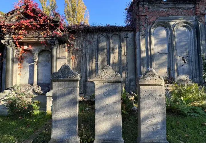 Nagrobki na tle zabytkowych mauzoleów porośniętych bluszczem.