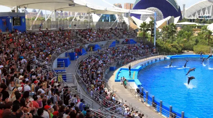 Las mejores atracciones en Valencia que no te puedes perder