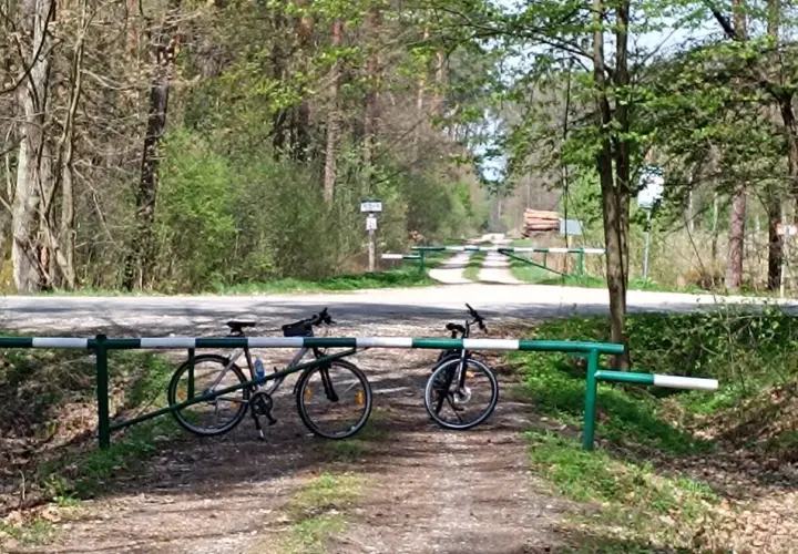 Dwa rowery czekają na odkrycie malowniczych tras rowerowych Tarnów. Leśna droga zaprasza do przygody.