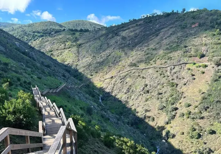 Senderismo Algarve: escaleras de madera descienden por un barranco verde y rocoso, con un sendero serpenteante en la ladera opuesta.