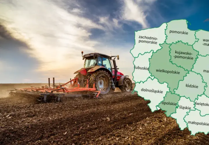 Jak oszacować wartość działki: uniknij błędów przy wycenie gruntu