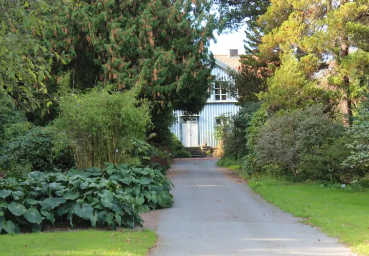 En vacker trädgård med en blåvit villa i bakgrunden. En stig leder fram till huset, kantad av frodiga växter och buskar som ser ut att vara redo att plantera buskar.