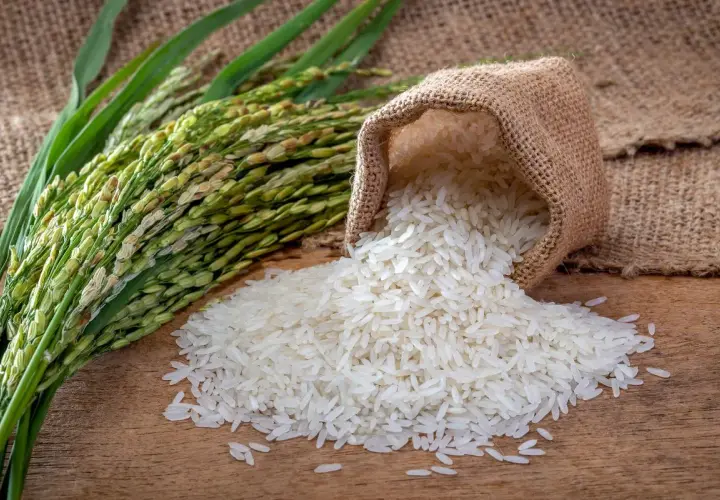 Czy ryż ma gluten? Uniknij pułapek zanieczyszczenia krzyżowego!