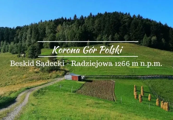 Malowniczy szczyt w Beskidzie Sądeckim, Radziejowa, 1266 m n.p.m. Zielone wzgórza, las i droga prowadząca do Korony Gór Polski.