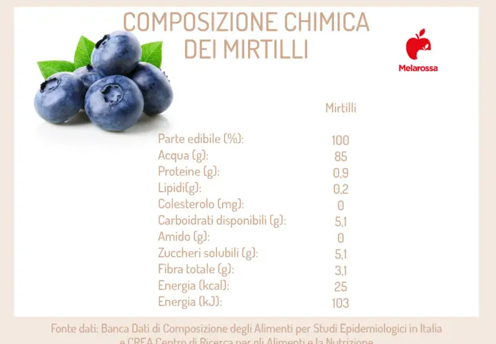 Mirtilli freschi e foglie verdi, con tabella nutrizionale che evidenzia i mirtilli benefici per la salute.
