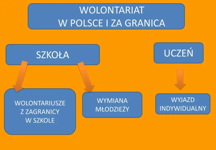 Jakie są formy wolontariatu? Odkryj możliwości, które zmieniają życie