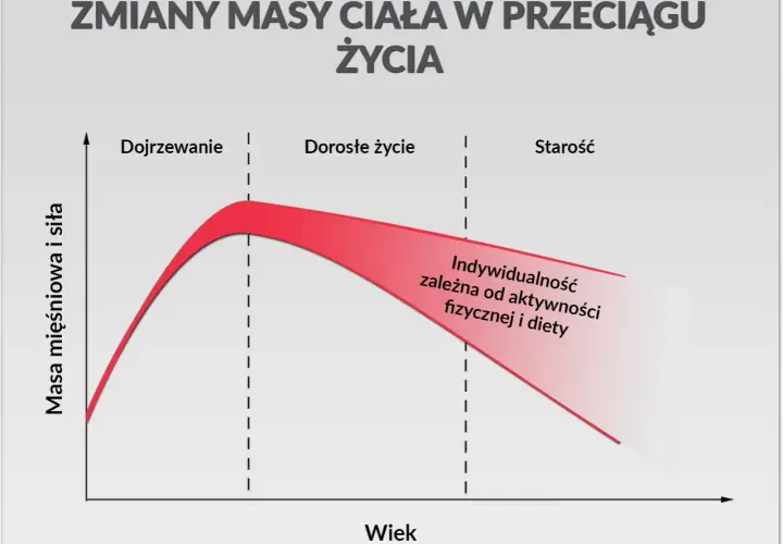 Ile białka dziennie przy treningu? Twój plan na masę i redukcję