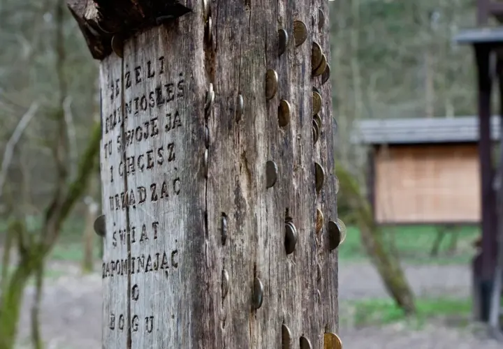 Drewniany słup z wyrytymi słowami i wbitą monetą, symbolizujący miejsce mocy w Puszczy Białowieskiej.