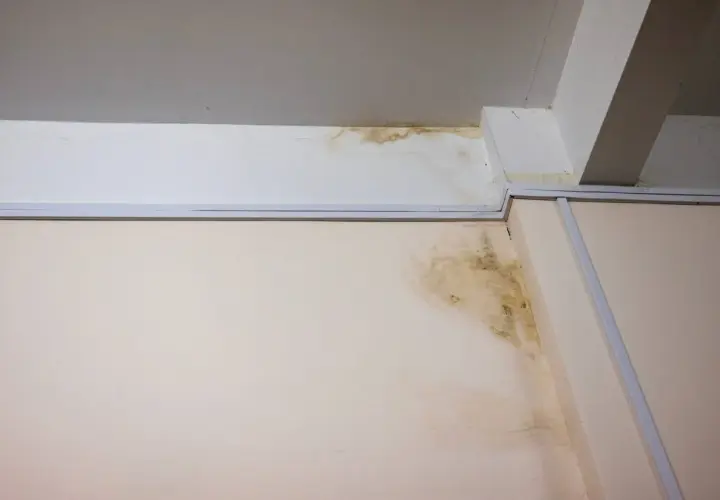 Taches de moisissure et d'humidité au plafond et sur le mur, preuves pour se défendre contre une accusation de vice caché maison.