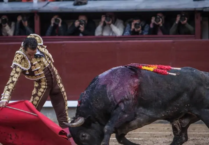 Adolfo Martín hijo, torero, se enfrenta a un toro en la arena. El público observa desde las gradas.