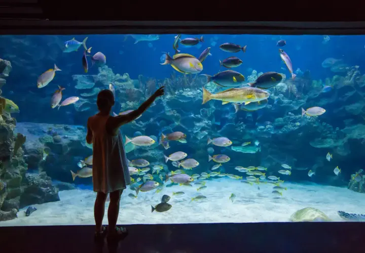 Oceanarium Jastrzębia Góra - co warto wiedzieć przed wizytą?