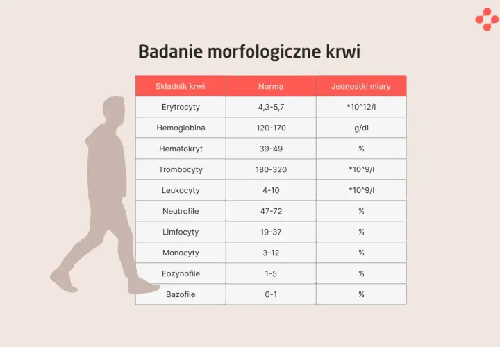Tabela badań morfologicznych krwi, uwzględniająca normy dla erytrocytów, hemoglobiny, hematokrytu, trombocytów, leukocytów, neutrofili, limfocytów, monocytów, eozynofilów i bazofilów.