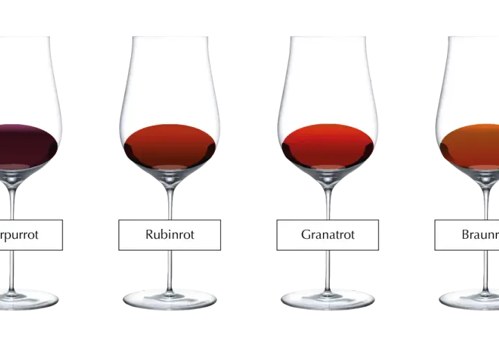 Vier Gläser zeigen die **Wein**-**Farbe** von Purpurrot bis Braunrot.