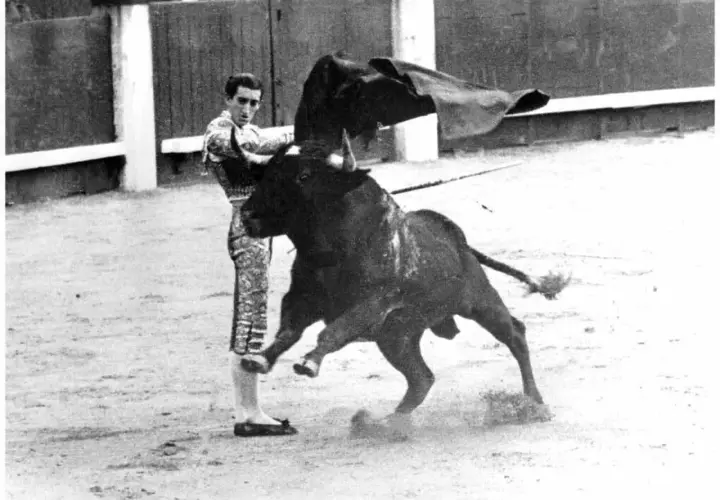 Manolete, en un momento dramático, se enfrenta a la embestida del toro. La capa negra ondea, capturando la tensión de la cornada inminente.