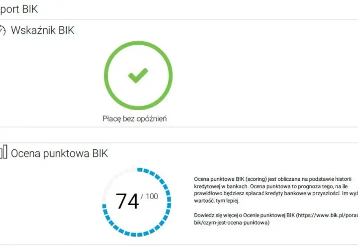 Jak sprawdzić BIK i uniknąć błędów w swojej historii kredytowej