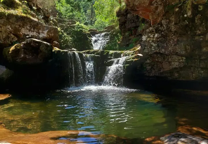 Cascada en un bosque frondoso, con rocas cubiertas de musgo y un estanque de aguas cristalinas. Un lugar idílico, como un **puente ra** natural hacia la serenidad.