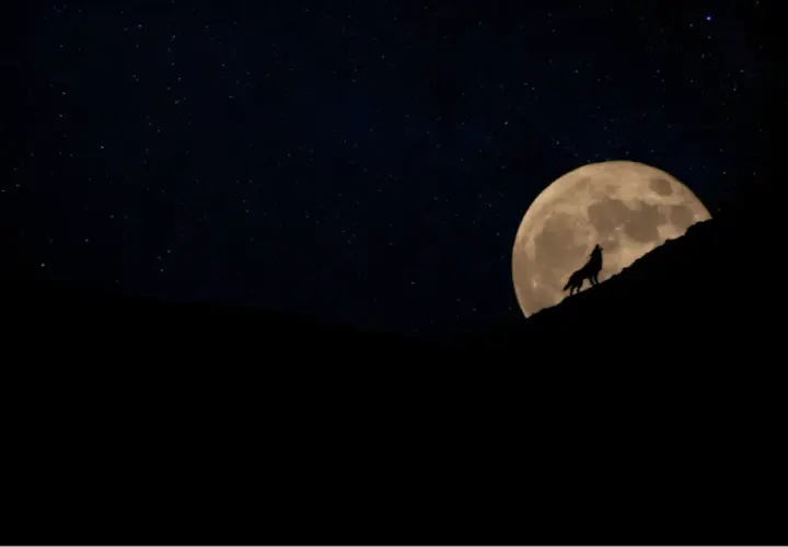 Księżyc w słowniku symboli Władysława Kopalińskiego – jego tajemnice