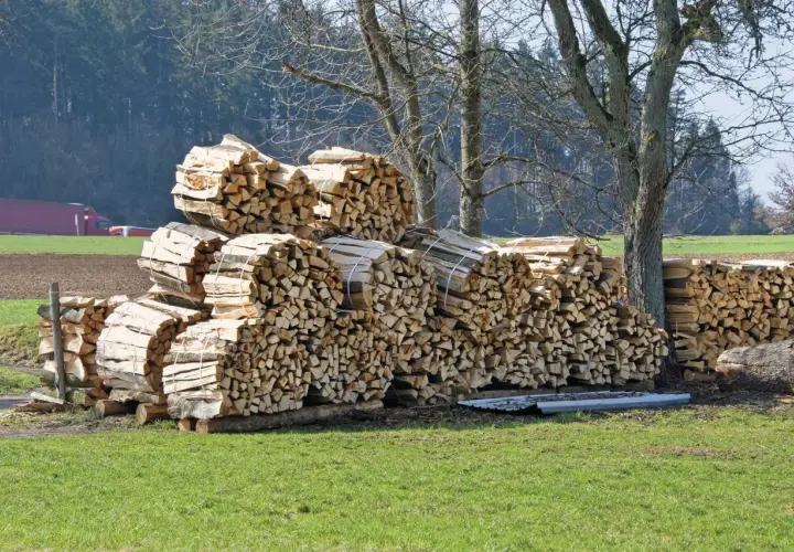 Stapel von gespaltenem Weichholz, bereit für den Verkauf. Der Preis pro Ster Weichholz ist hier günstig.