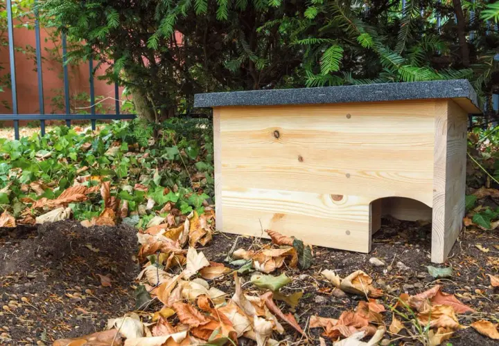 Ein neues Igelnest aus Holz steht im Garten, umgeben von Laub und Grün.