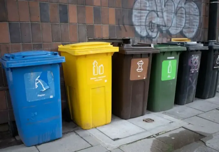Jak legalnie nie płacić za śmieci: 7 sposobów na obniżenie rachunków