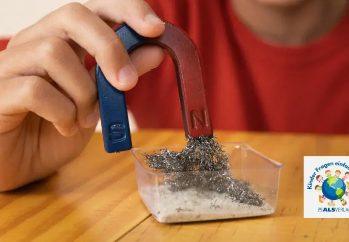 Ein Kind experimentiert mit einem Hufeisenmagneten und Metallspänen. Ein spannendes Thema für den Magnetismus in der Grundschule.