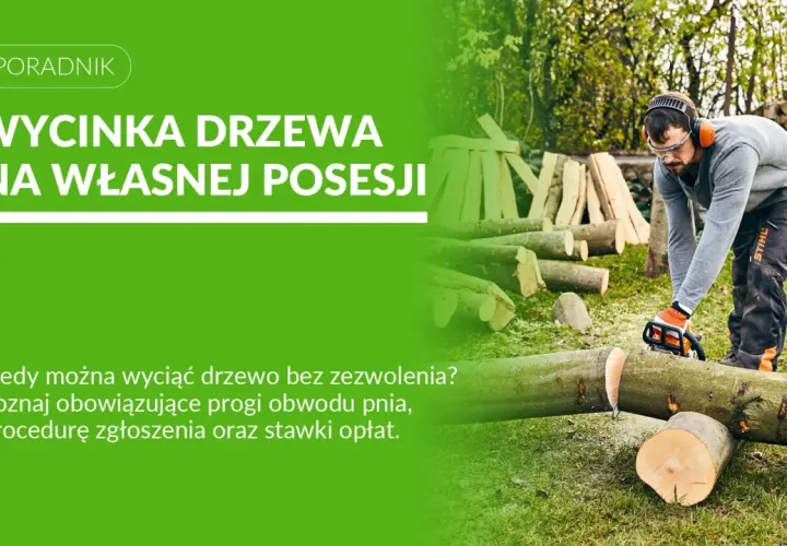 Mężczyzna w ochronnym ubraniu używa piły łańcuchowej do ścinania drzewa. Poradnik o wycince drzew na własnej posesji i pozwoleniach.